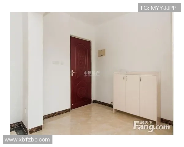 深圳佳兆与石家庄的城市发展对比与未来展望分析