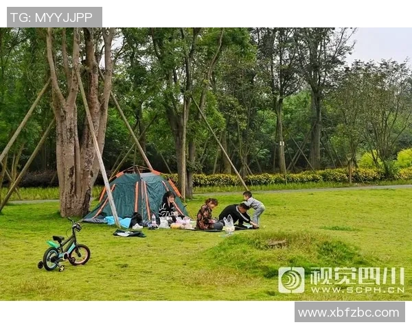 成都极限运动队耐力表现数据分析与训练策略探讨MBA