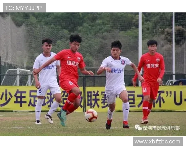 深圳羽毛球队逆袭世界杯的传奇之路与奋斗故事