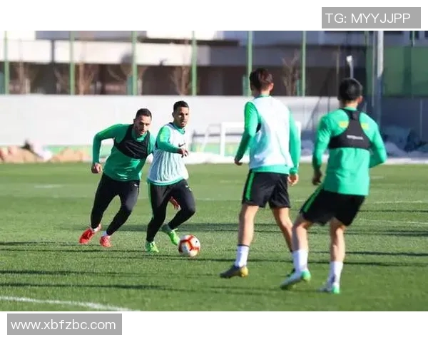 独家解析：北京网球队在速度方面的全面对比与分析